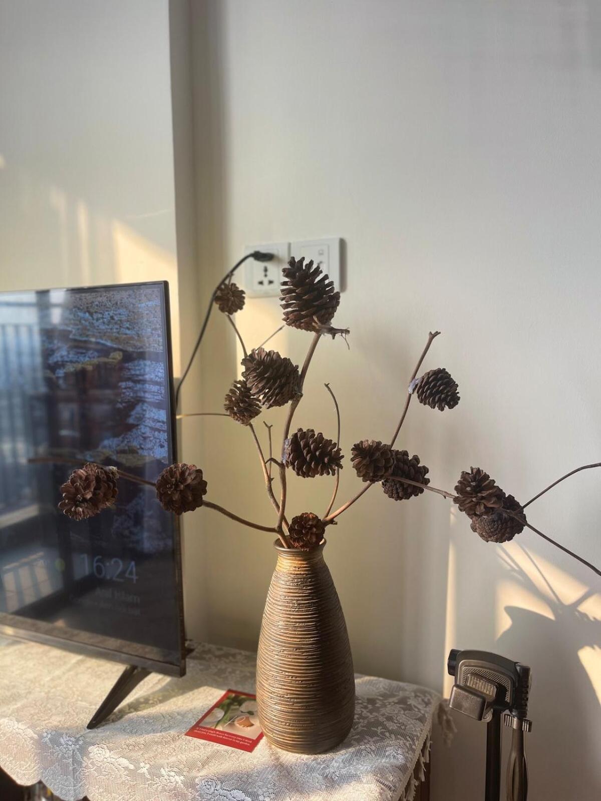 Căn hộ Clover